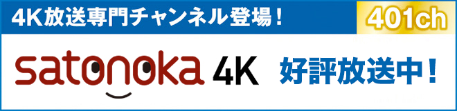 ケーブル4K